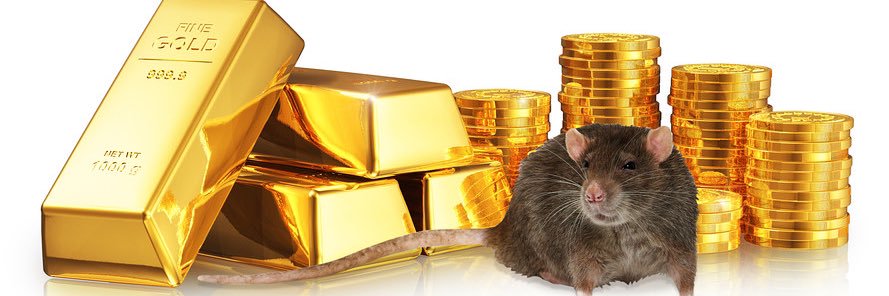 RazorSprtspicks's profile banner image