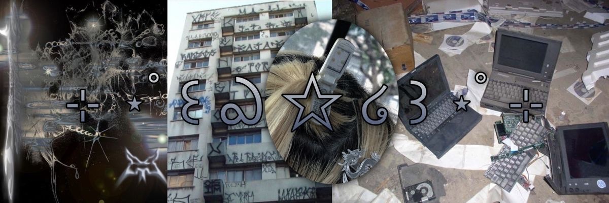 thebeerbows's profile banner image