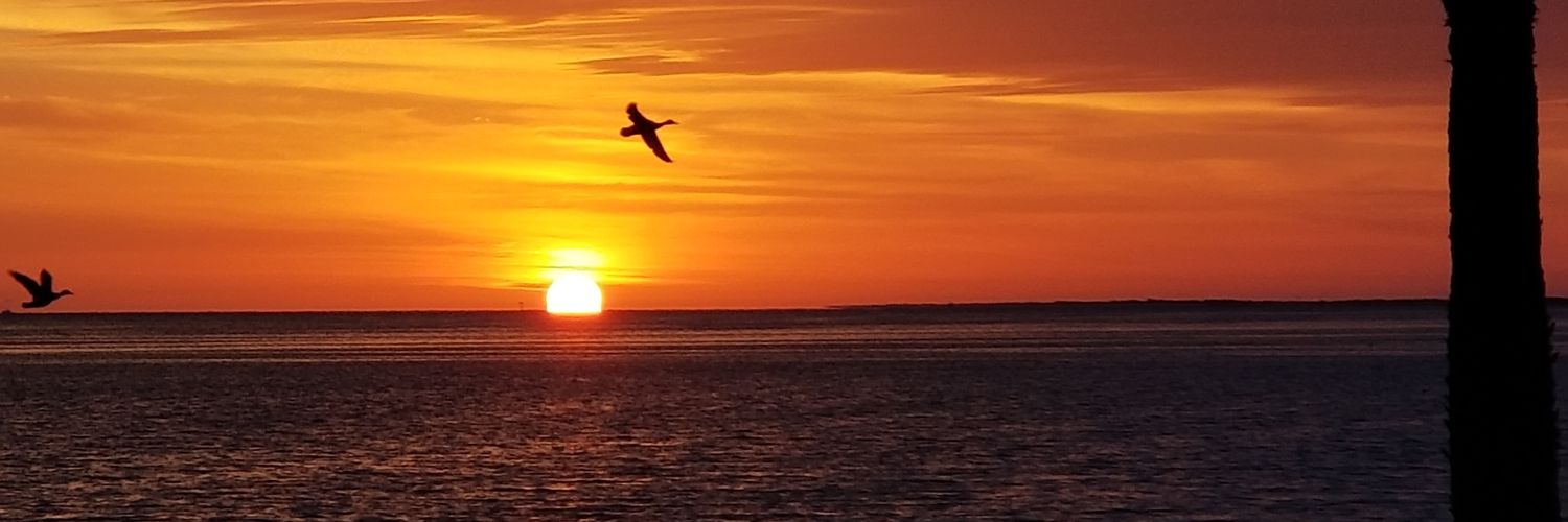 Jersey girl 🇮🇹❤🇺🇲 banner