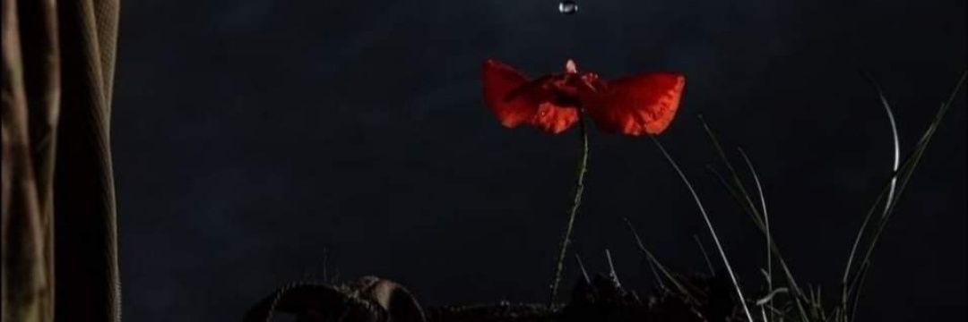 dsmithflyfish's profile banner image