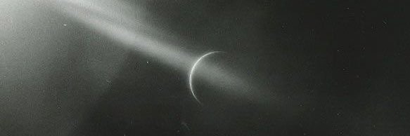 سيّد banner