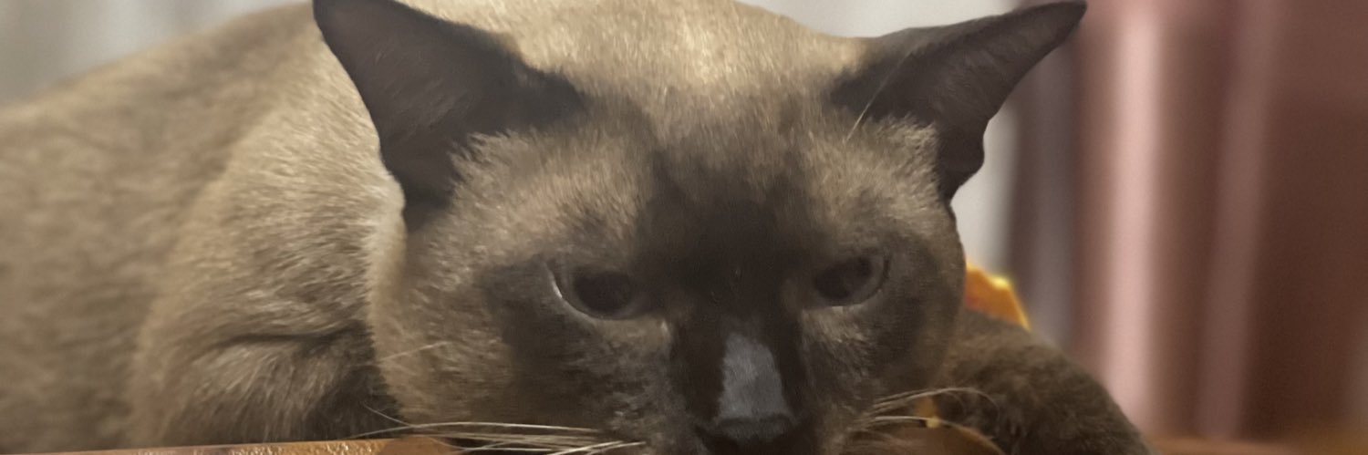meloffi_'s profile banner image