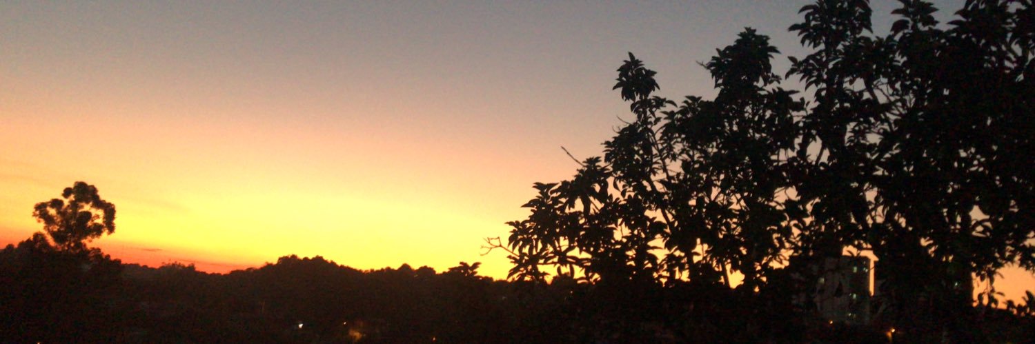 rossana32's profile banner image