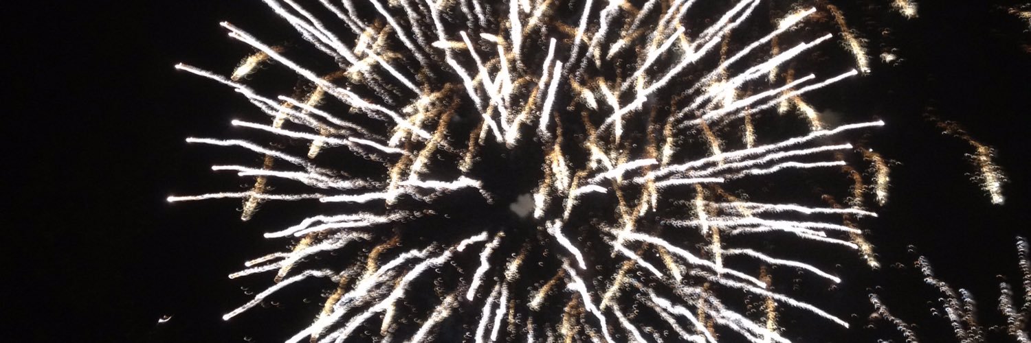 Phyllida Crowley-S✴ banner