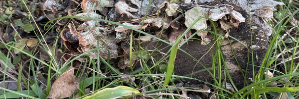 canek_jrg Profile Banner