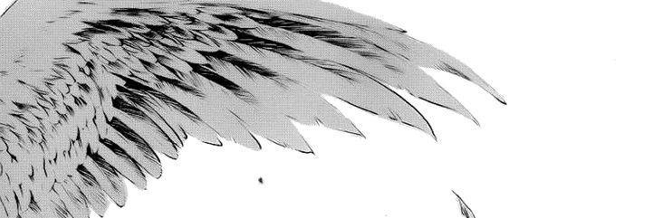 iAngelus_Custos's profile banner image