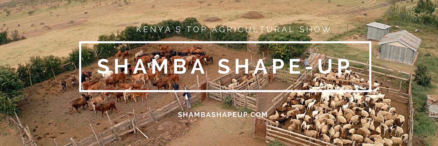 Shamba Shape Up banner