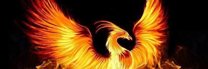 SeniorM777's profile banner image