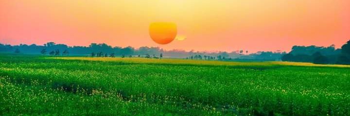 DineshC1541's profile banner image