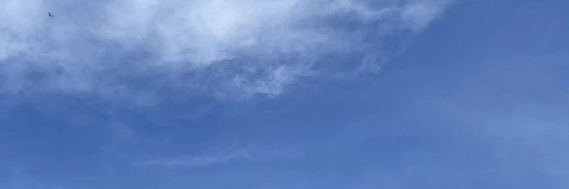 Spook! banner