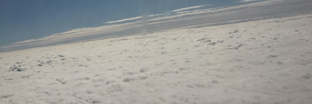 sarahfezz's profile banner image