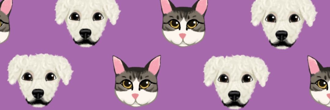 SarahCuimar's profile banner image