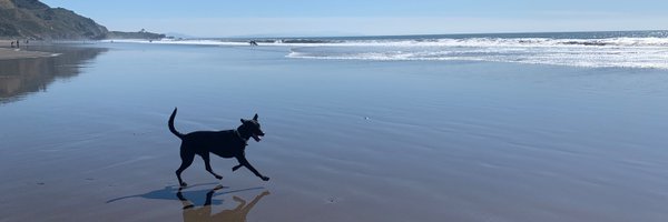 paigepetschl Profile Banner