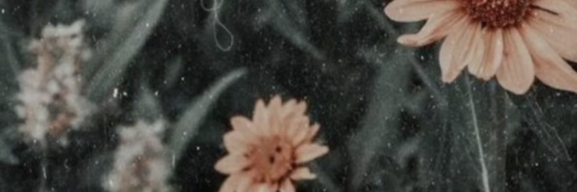 BelemLovesTacos's profile banner image