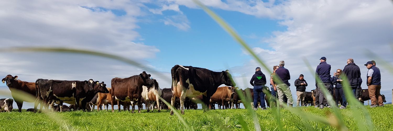 Maura Callery banner