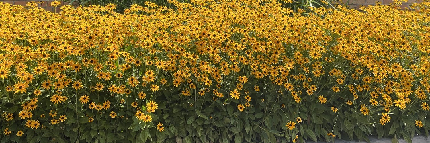 Jennifer Vander Pas banner