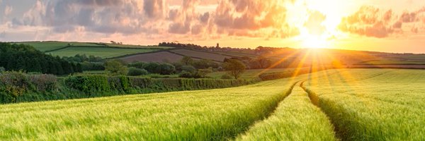 TheAHDB Profile Banner