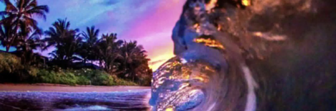 DenitraPriceSCD's profile banner image
