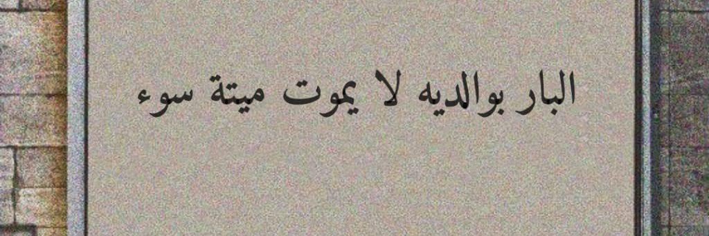 مـستـر عــبـود 📝 banner