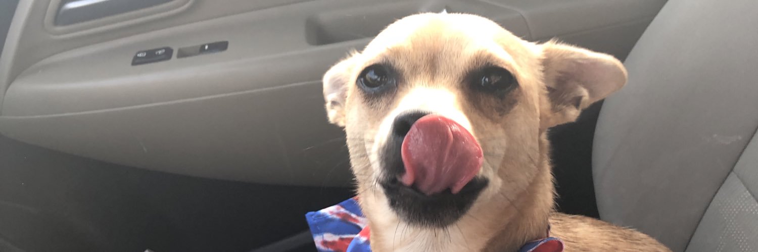 Deziyrayray's profile banner image
