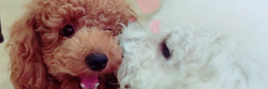 m banner