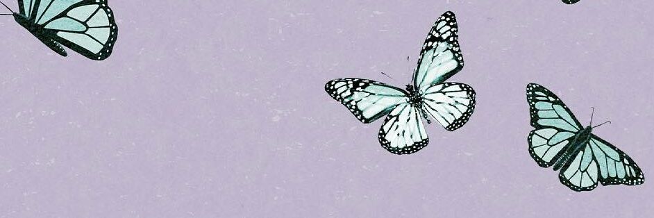 Luaraofc's profile banner image