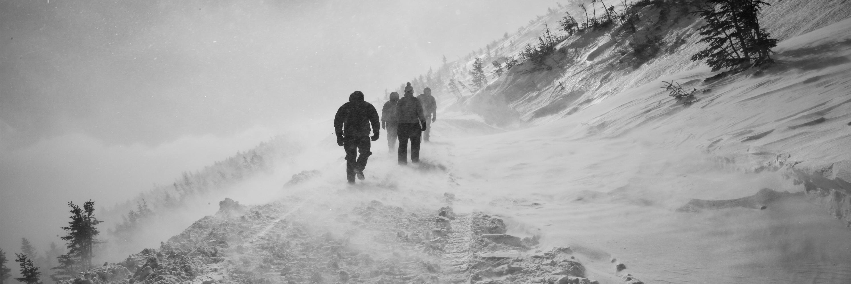 Alexander Falk banner