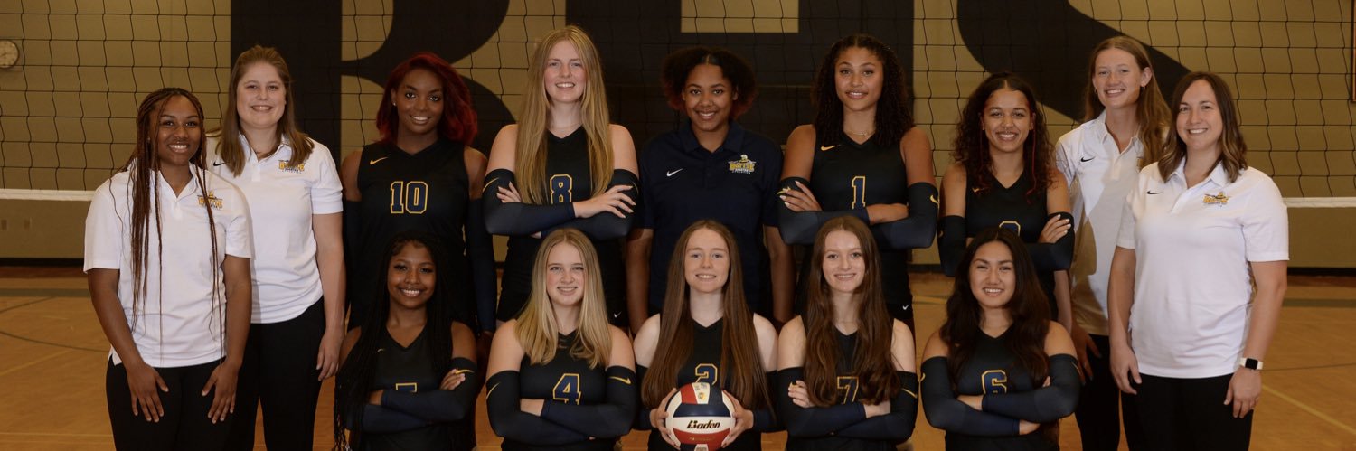 Battle Volleyball banner