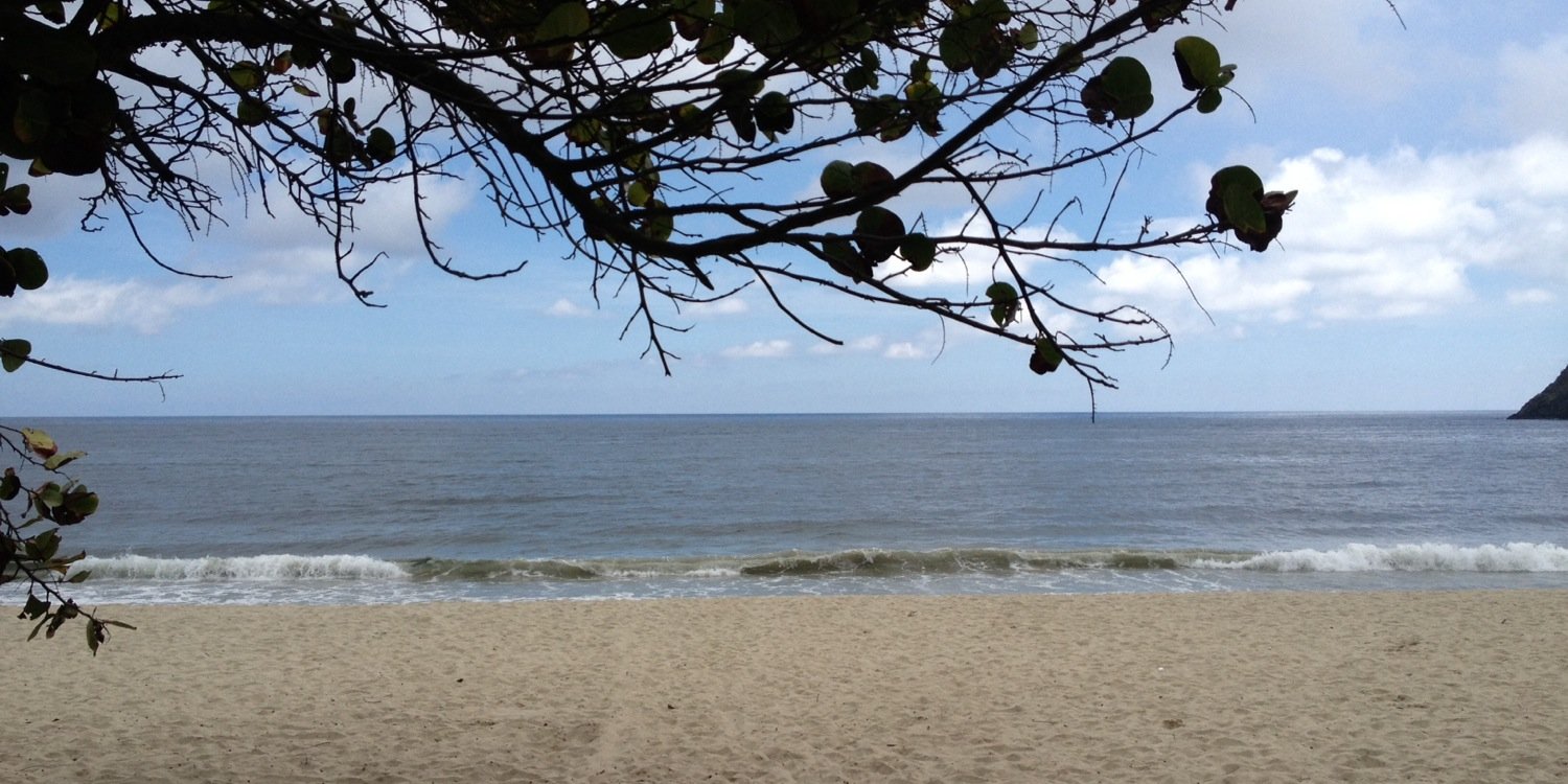 Lucia Herrera Larotonda banner