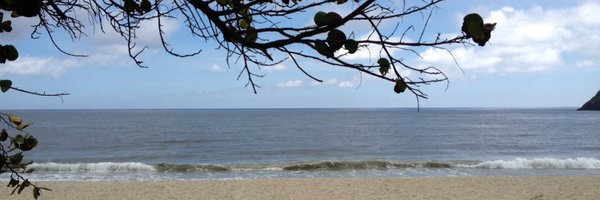 Lu_ci_a Profile Banner