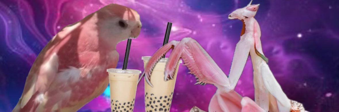 Sæn banner