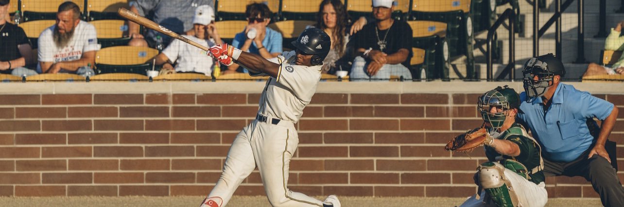 Zamaurion Hatcher banner