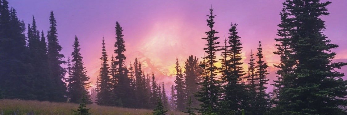 herbivert's profile banner image