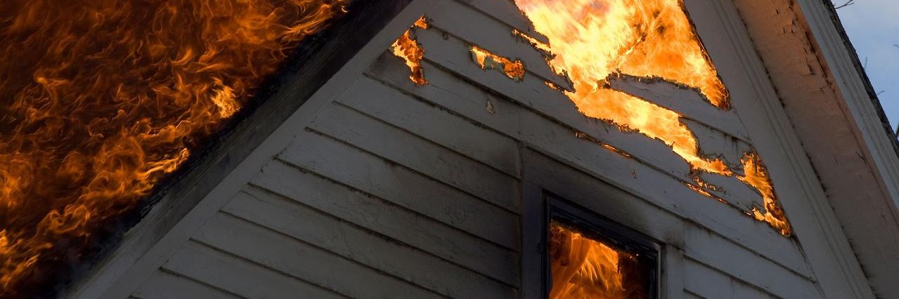 Cokorda Suryanata🌱🌹 banner