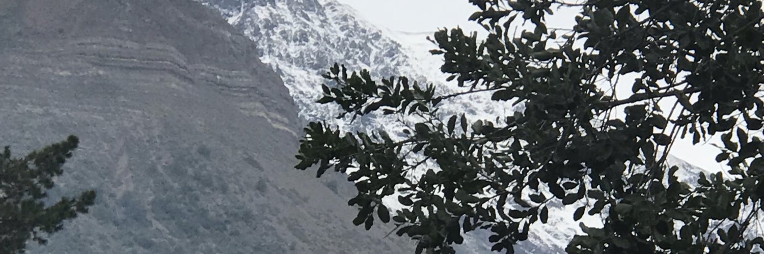fcoleon_o's profile banner image