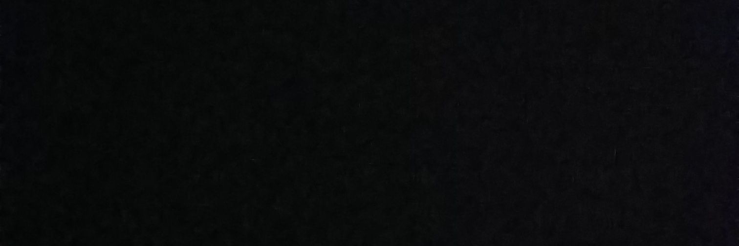 Marcela Torres C banner