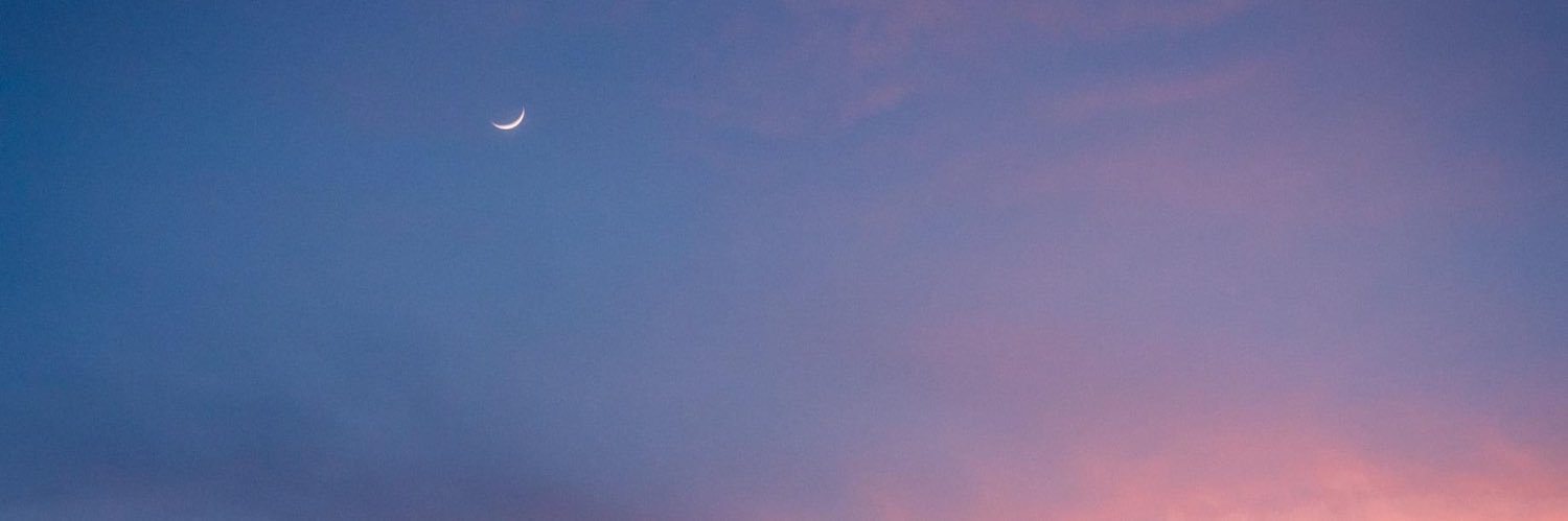⋯ ❊ ⌇ banner