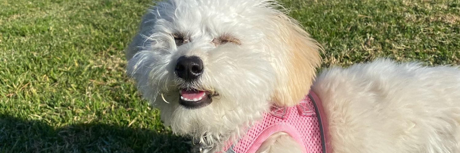 jocceelyn's profile banner image