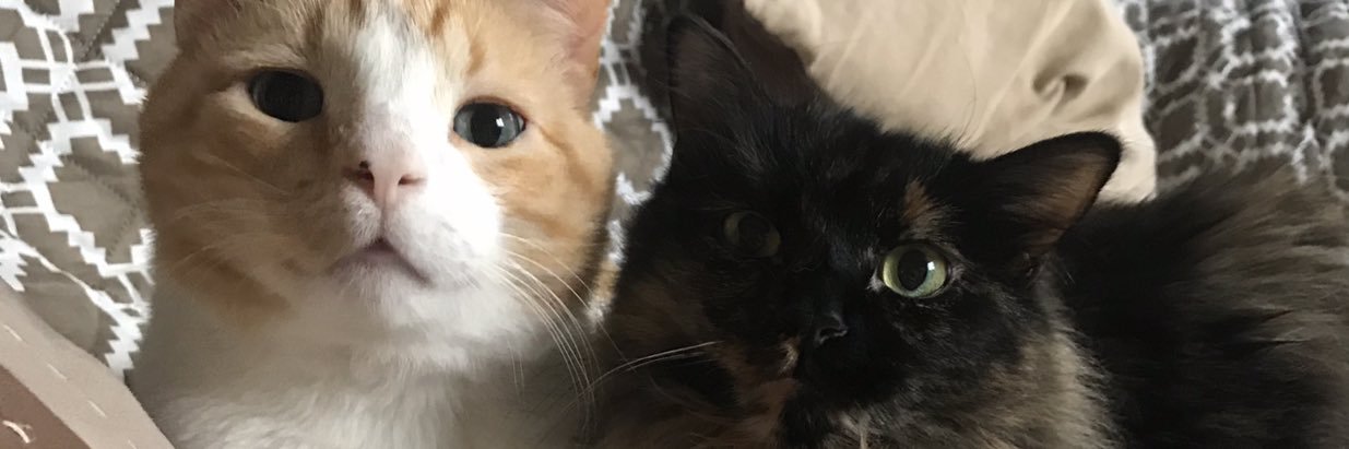 HaileyRailey's profile banner image
