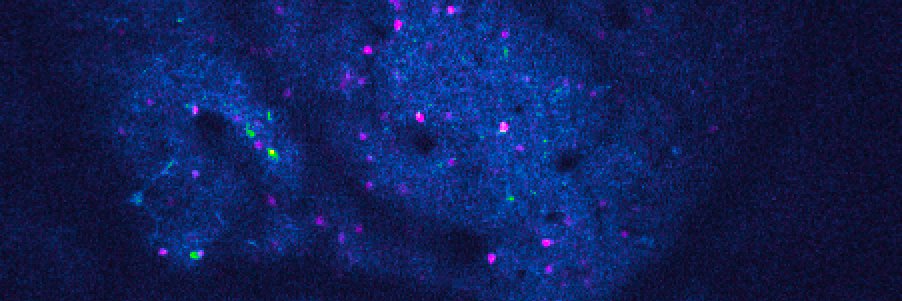 Mitch Murdock banner