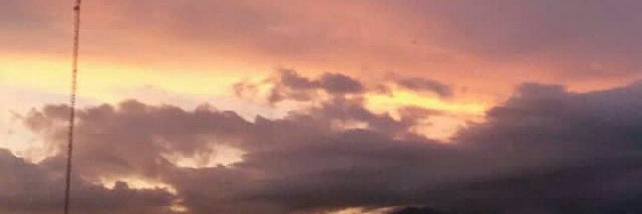 violaritzy's profile banner image