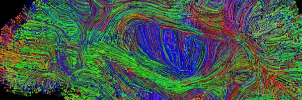 PTenigma Profile Banner