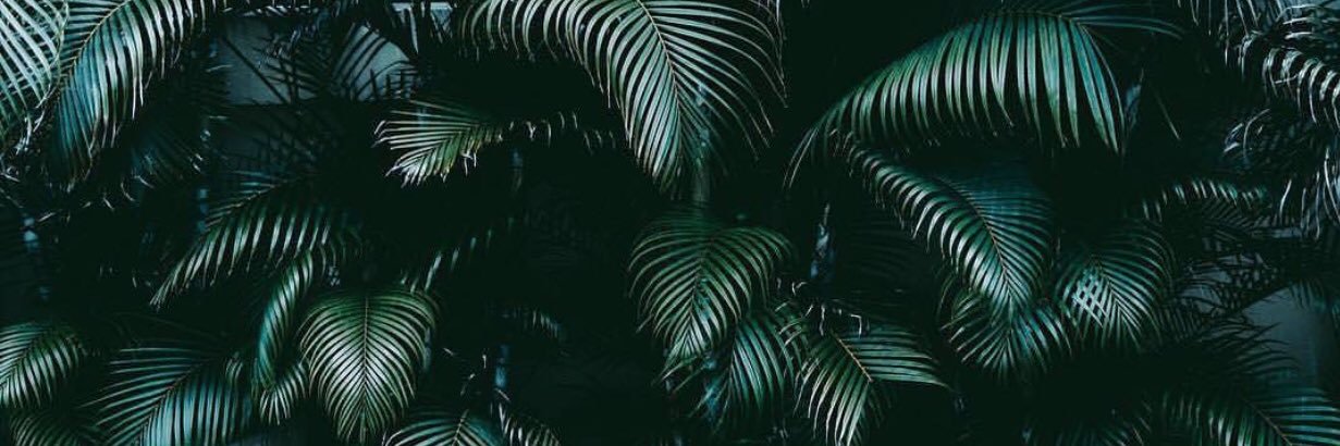 fariiday's profile banner image