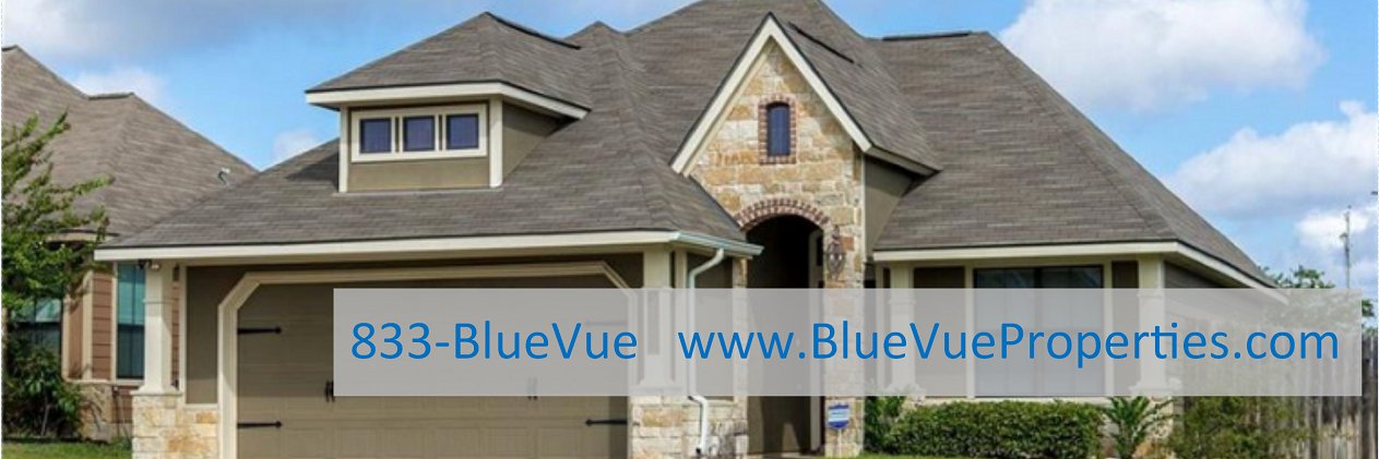 BlueVue Properties banner