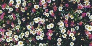 KbraKader's profile banner image