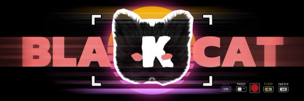 camerablackcat Profile Banner