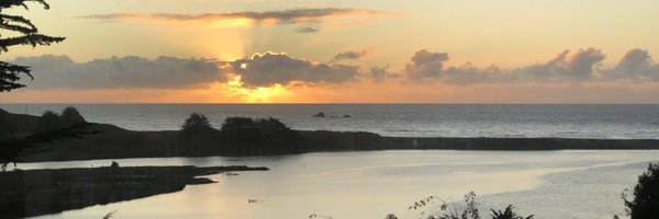 srinivos Profile Banner