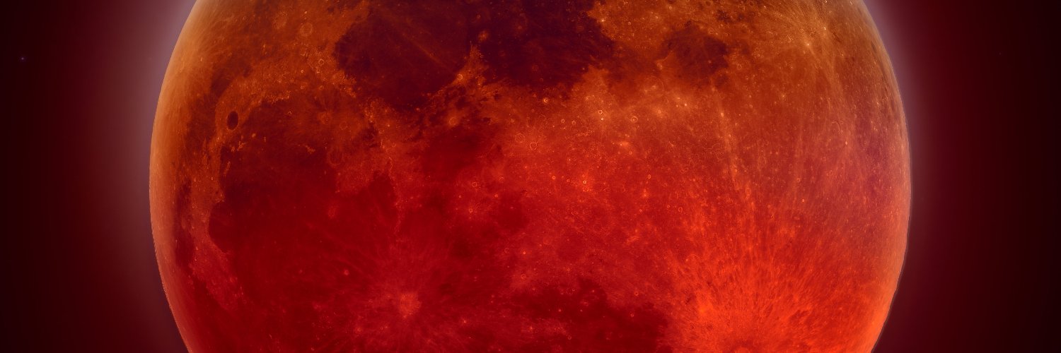 ElvisLevis1's profile banner image
