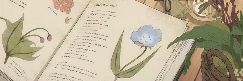 dieblumenn's profile banner image