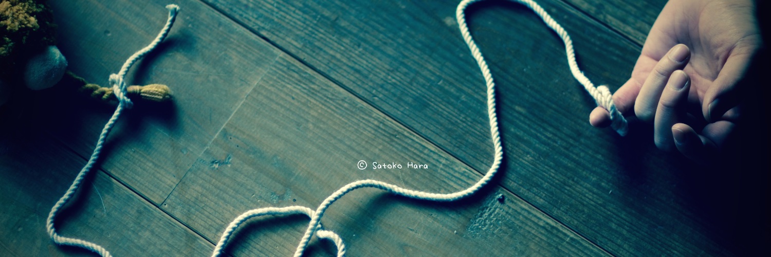 tocophoto's profile banner image